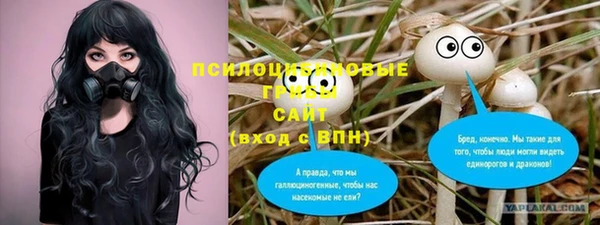 apvp Алзамай