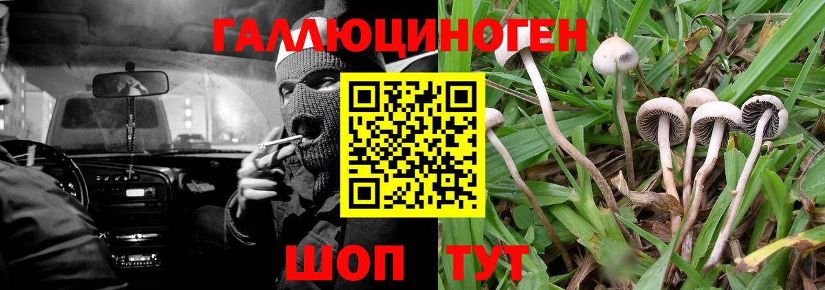 Галлюциногенные грибы Magic Shrooms Губкин